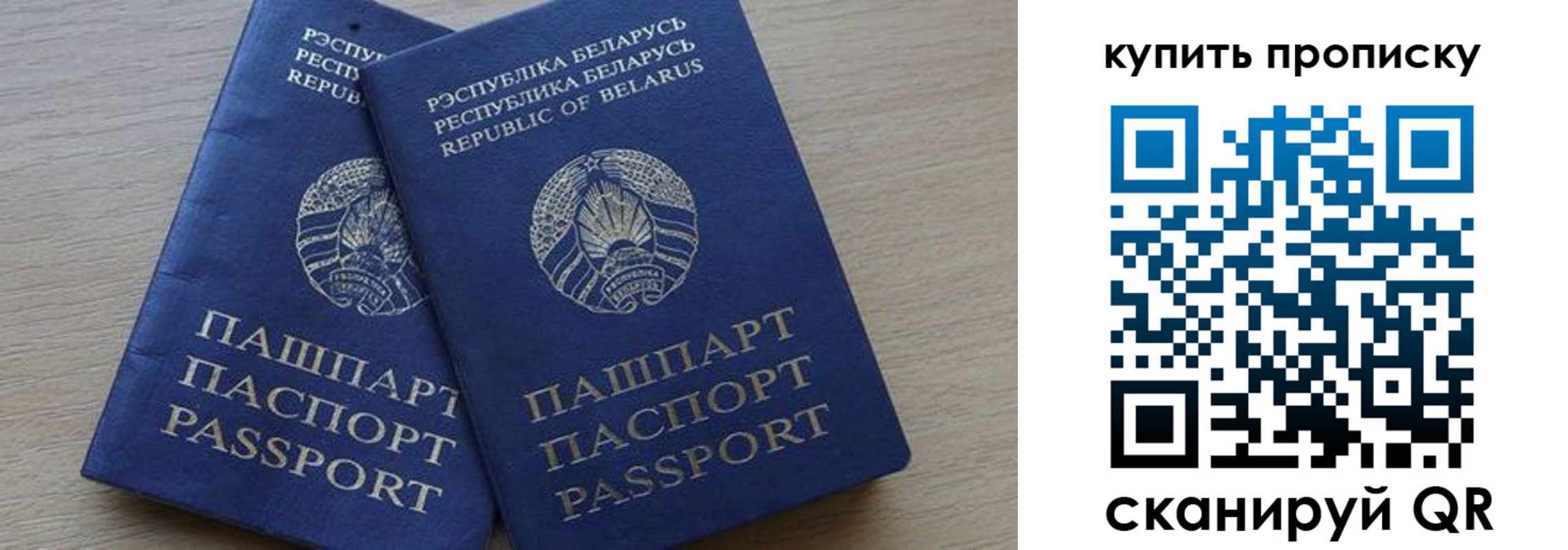 прописка поиск в Сафоново
